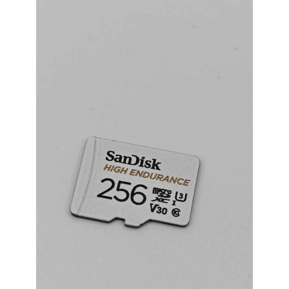 SanDisk 256GB High Endurance microSDXC Memory Card V30 U3 4K UHD SDSQQNR-256G